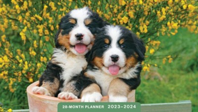 2023-2024 Planner: Puppies (28 Month) - Dayspring