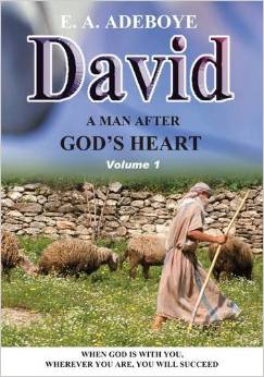 The Bible: David DVD
