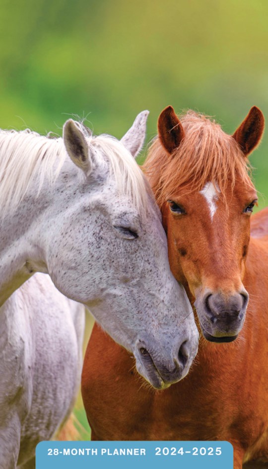 2024-2025 28 Month Pocket Planner: Horses - DaySpring