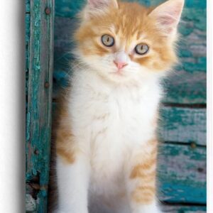 2024-2025 planner - kitten