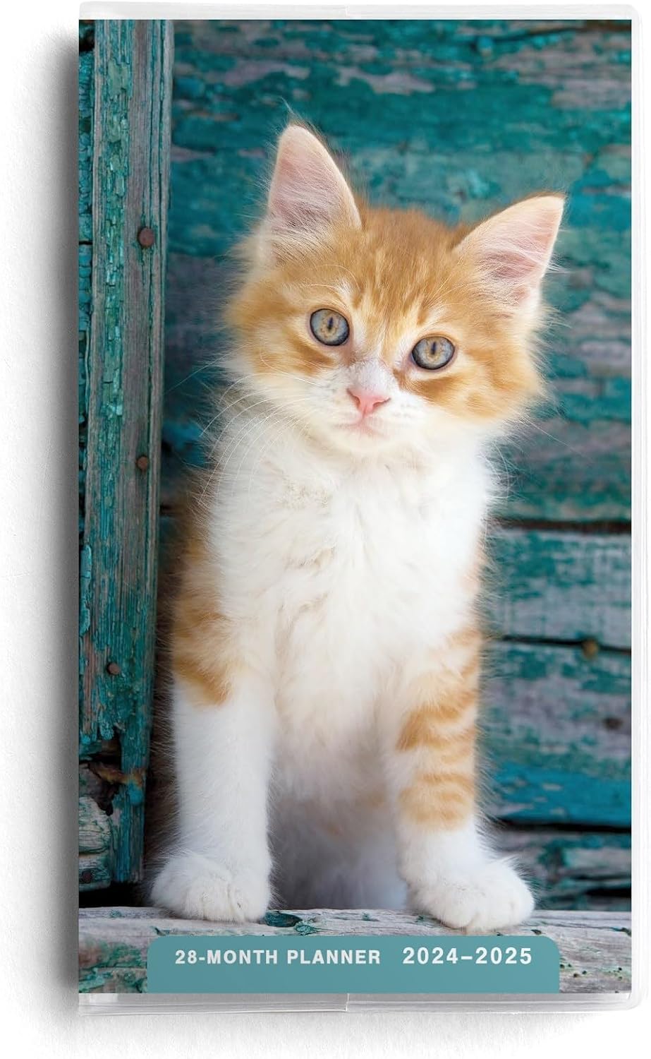 2024-2025 28 Month Pocket Planner: Kitten - DaySpring