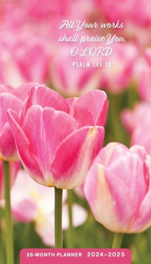 2024-2025 28 Month Pocket Planner: Psalms - DaySpring