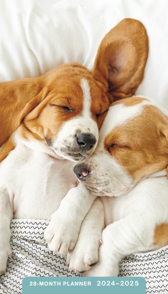 2024-2025 28 Month Pocket Planner: Puppies - DaySpring