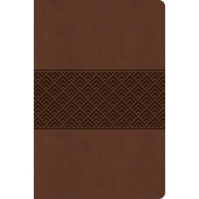 CSB Everyday Study Bible L/T Brown Burnished Global - Holman