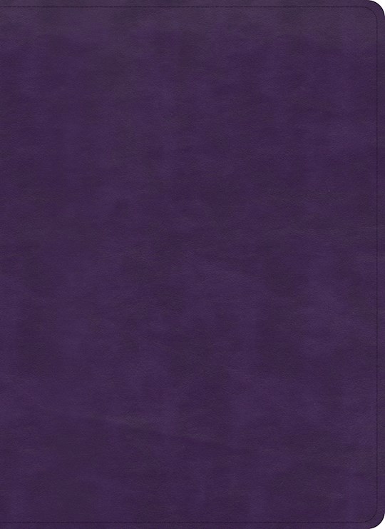 KJV Study Bible Full Color T/I L/T Plum - Holman