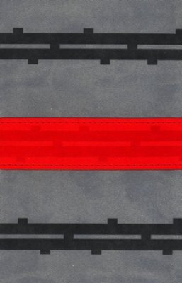 NIrV Backpack Bible I/L Gray - ZonderKidz