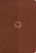 NKJV Essential Teen Study Bible L/T Walnut