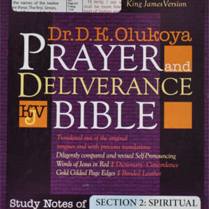 olukoya20bible20compact-1.jpg