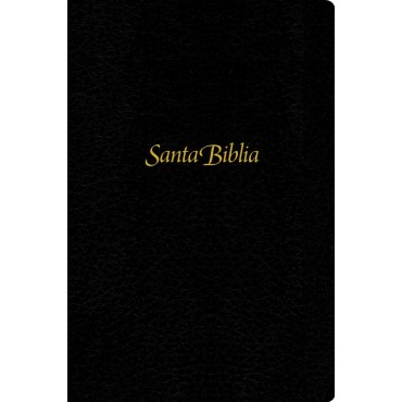 NTV Santa Biblia, Edicion Personal, Letra Grande - Tyndale