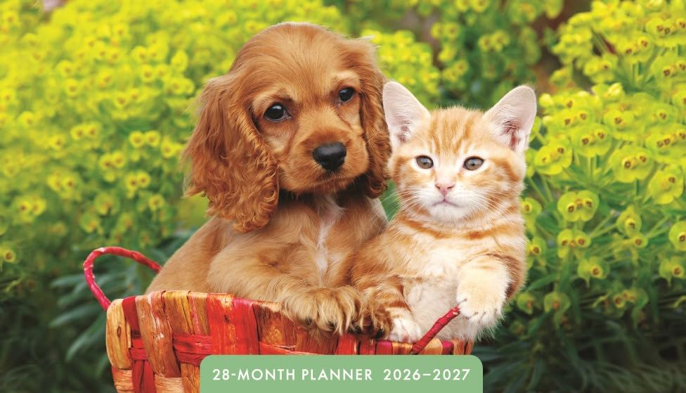 2026-2027 Whiskers & Paws 28-Month Inspirational Pocket Planner - DaySpring